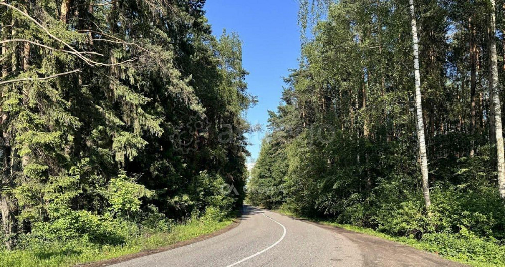 Коммерческий участок, 50 соток Пушкино - изображение 7