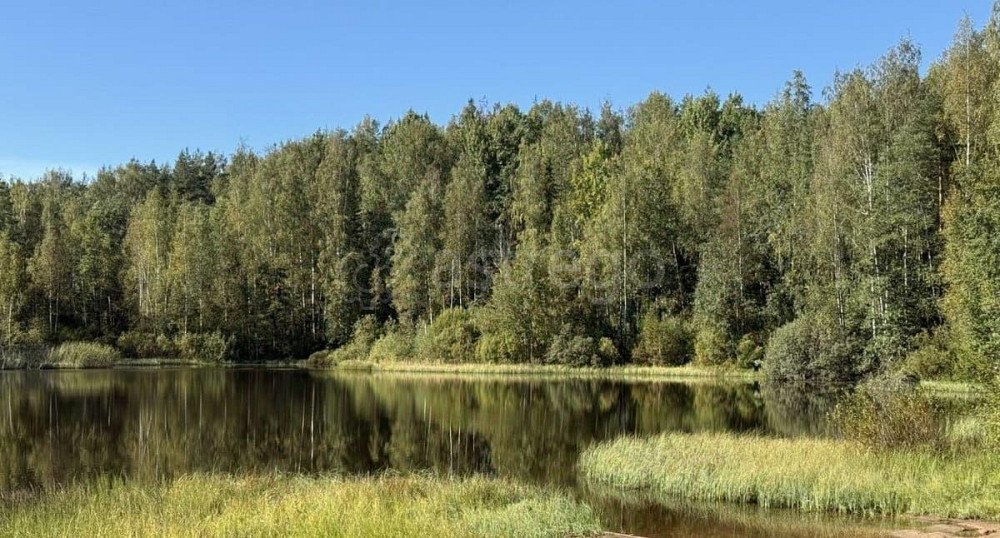 Земельный участок, 18 соток Санкт-Петербург - изображение 6