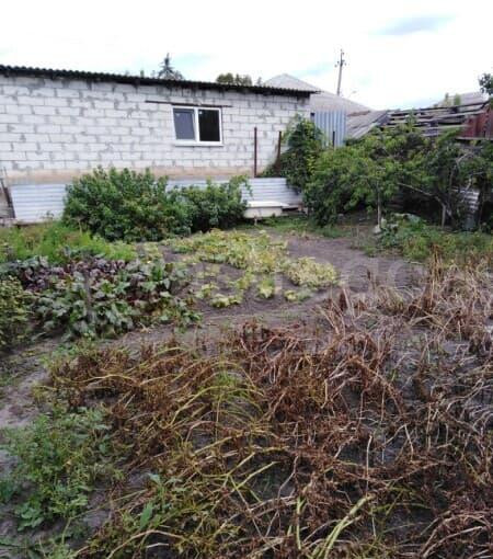 Дом, 45 м2 Губкин - изображение 5