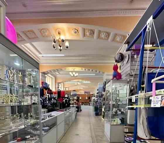 Торговое помещение, 239.8 м2 Жуковский