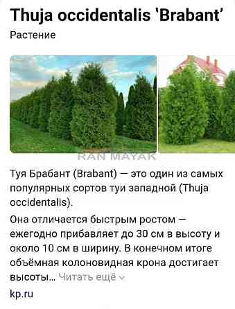 Торговое помещение, 37662 м Тульский