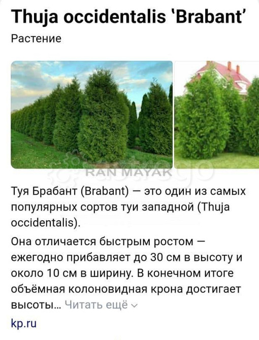 Торговое помещение, 37662 м Тульский - изображение 2