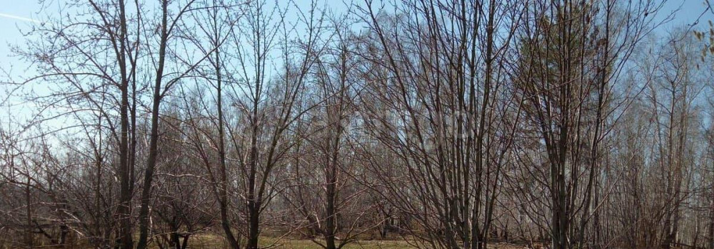 Земельный участок, 40 соток Емельяново - изображение 5