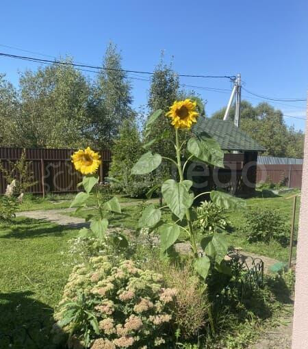 Дом, 144 м2 Бронницы - изображение 6