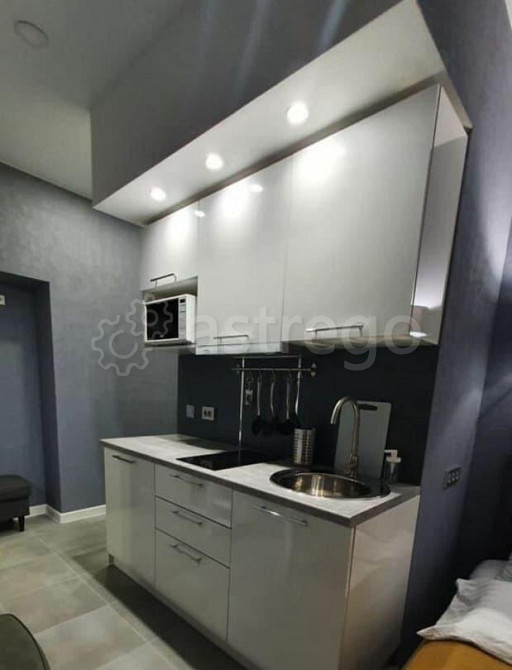 Студия, 15 м2, 1/5 эт. Москва - изображение 6