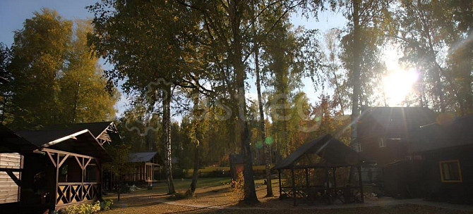 Коммерческий участок, 35 соток Алтайское - изображение 4