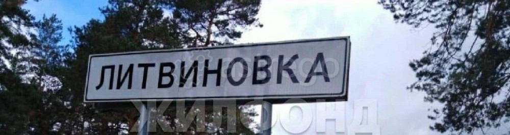 Дом, 22 м2, 10.66 сотки, 1 эт. Тальменка - изображение 3