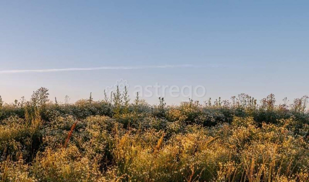 Офис, 65.2 м2 Москва - изображение 10