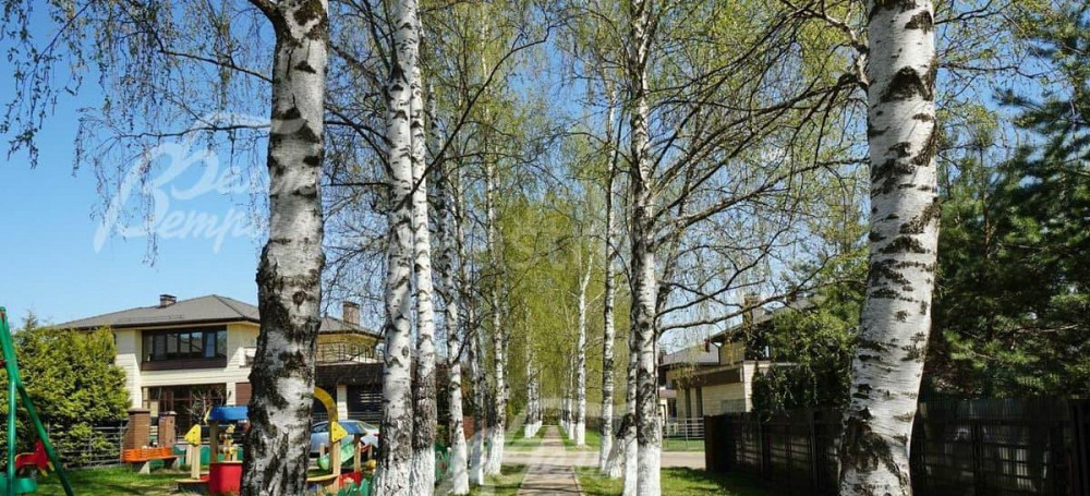 Дом, 334 м2, 15 соток, 2 эт. Москва - изображение 4