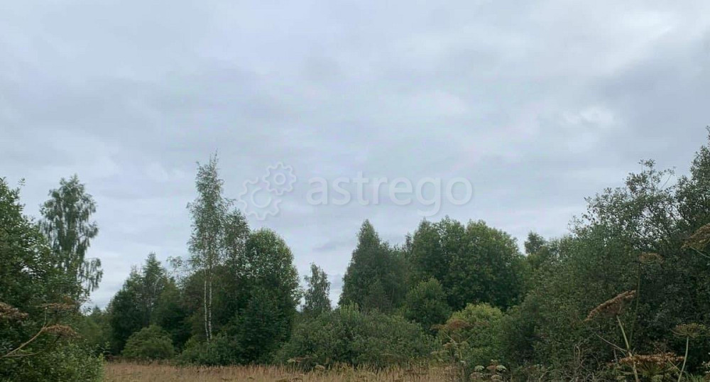 Земельный участок, 12 соток Истра - изображение 1