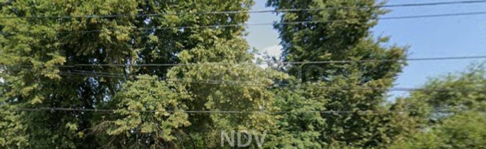 Земельный участок, 20 соток Голицино - изображение 4