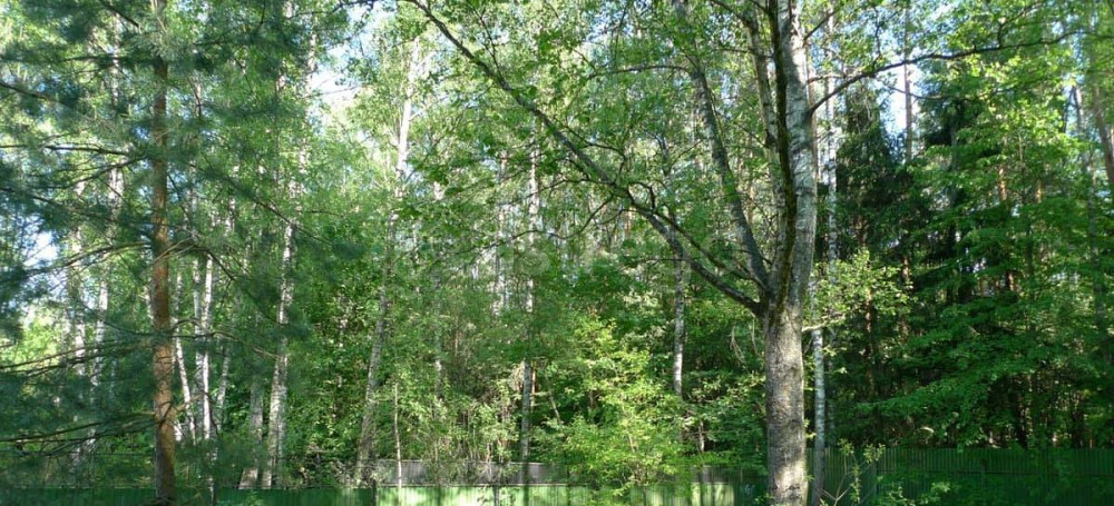 Коттедж, 339.6 м2, 23.26 сотки, 2 эт. Королев - изображение 3