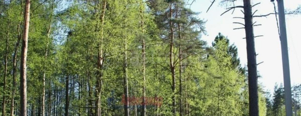 Готовый бизнес, 3000 м2 Санкт-Петербург - изображение 3