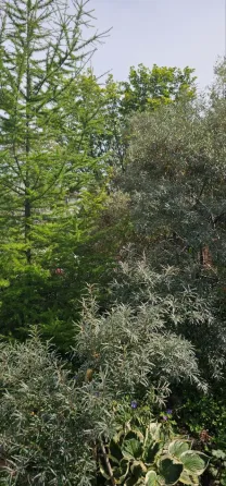 Продам участок, Садовый 10 соток Южно-Сахалинск