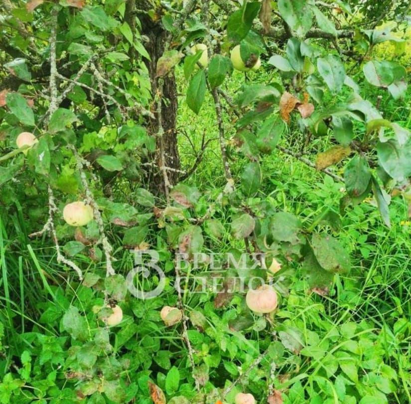 Земельный участок, 7.17 сотки Серпухов - изображение 3