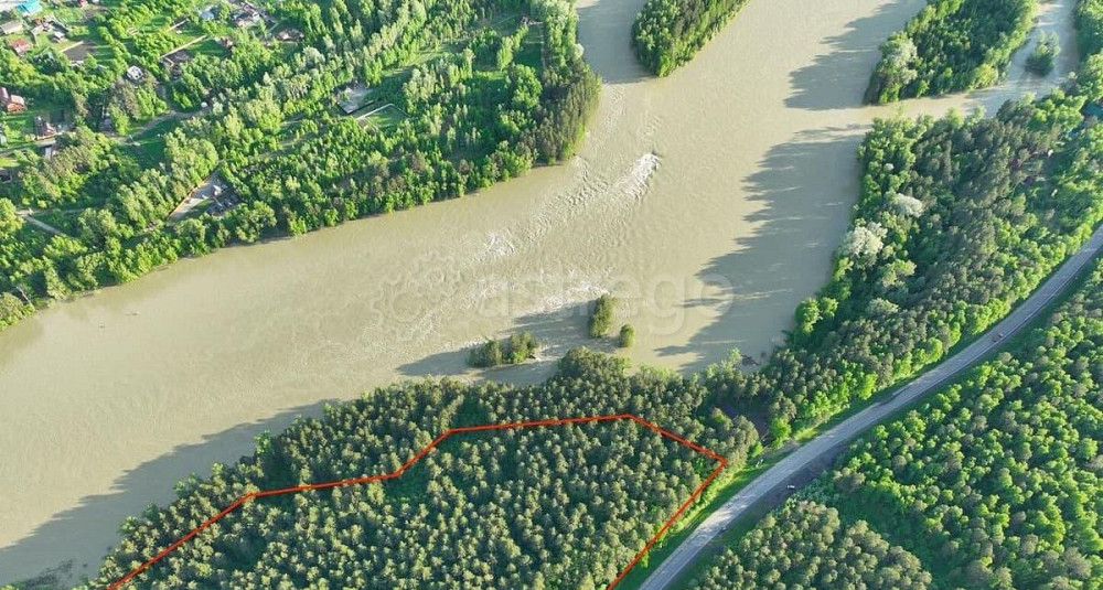 Коммерческий участок, 5.1 га Горно-Алтайск - изображение 4