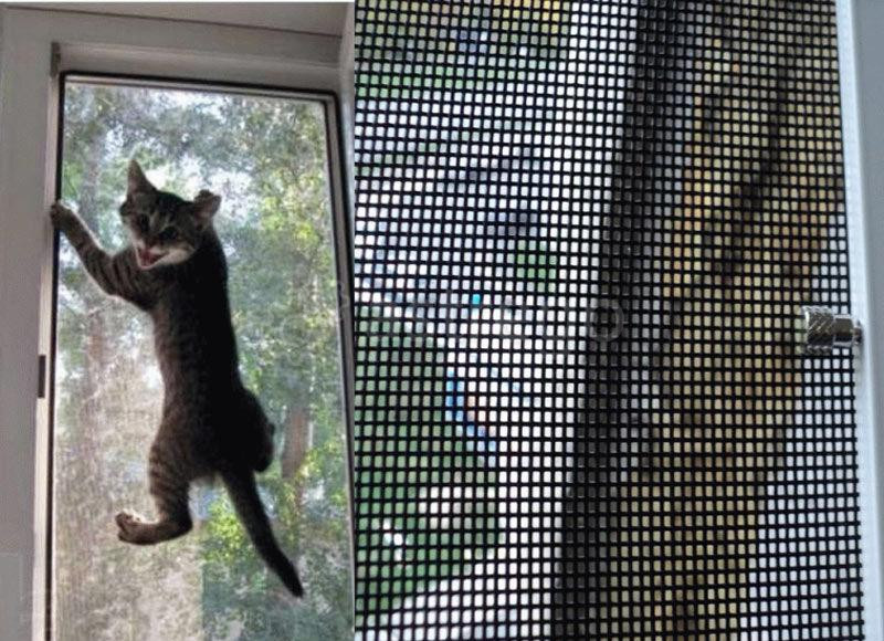 Сетка на окно для кошки Челябинск - изображение 1