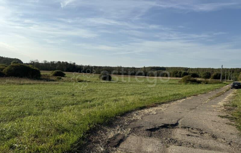 Земля под ИЖС, 30 соток Можайск - изображение 9