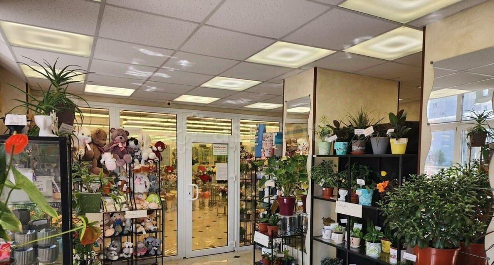 Свободного назначения, 140 м2 Санкт-Петербург - изображение 3