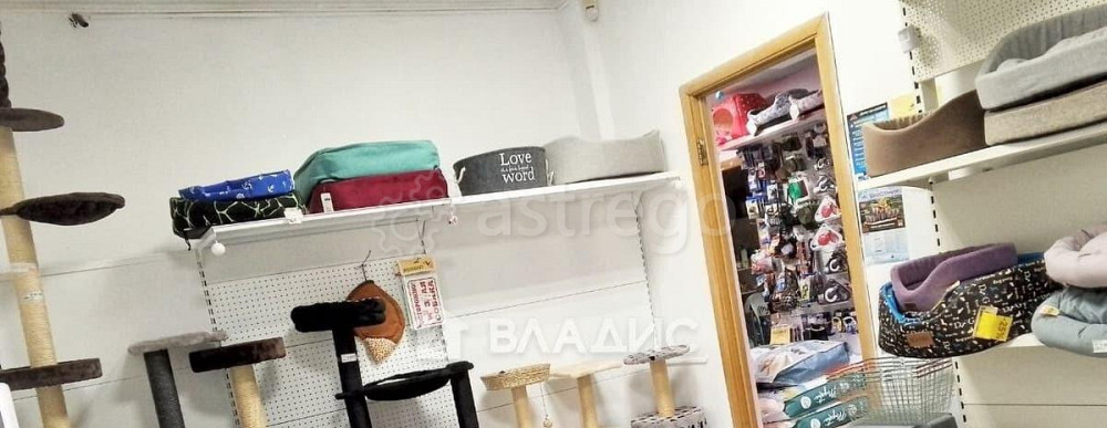 Торговое помещение, 57.7 м2 Белгород - изображение 5