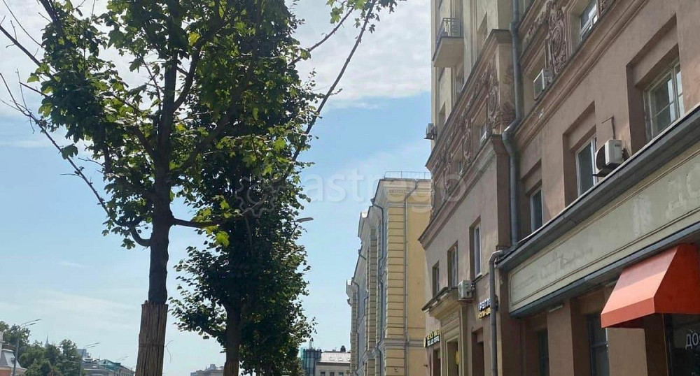 Студия, 37 м2, 3/8 эт. Москва - изображение 1