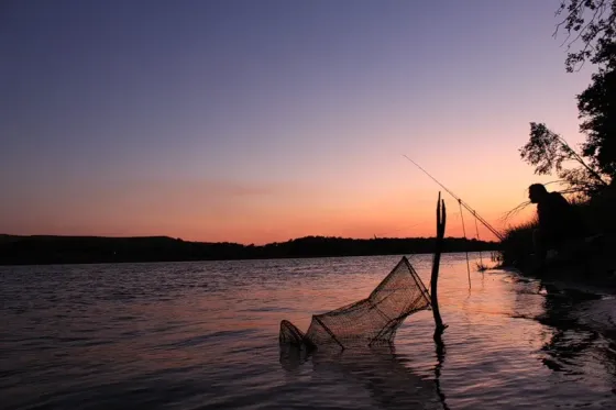 Продам участок, ИЖС 4000 сот. Елец