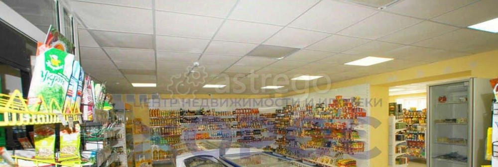 Торговое помещение, 329.6 м2 Благовещенск - изображение 2