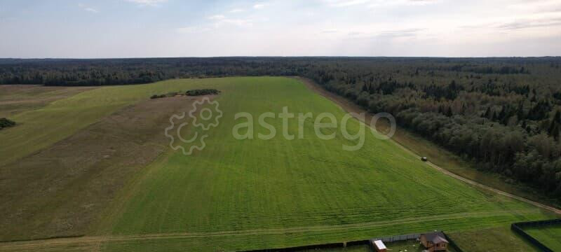 Земля с/х назначения, 26 га Руза - изображение 2