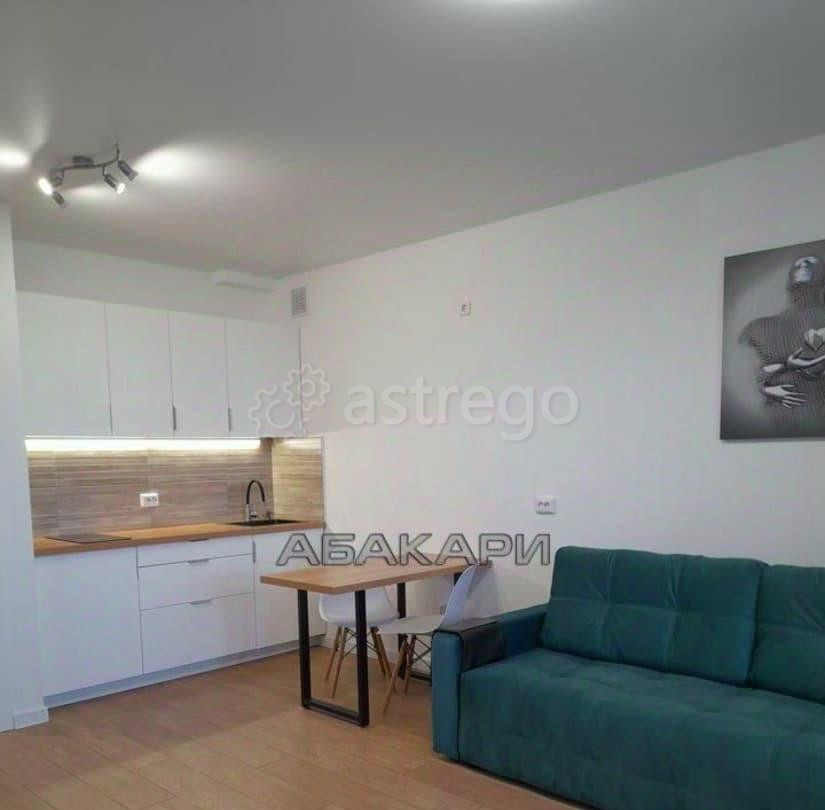 Студия, 28 м2, 12/17 эт. Красноярск - изображение 7