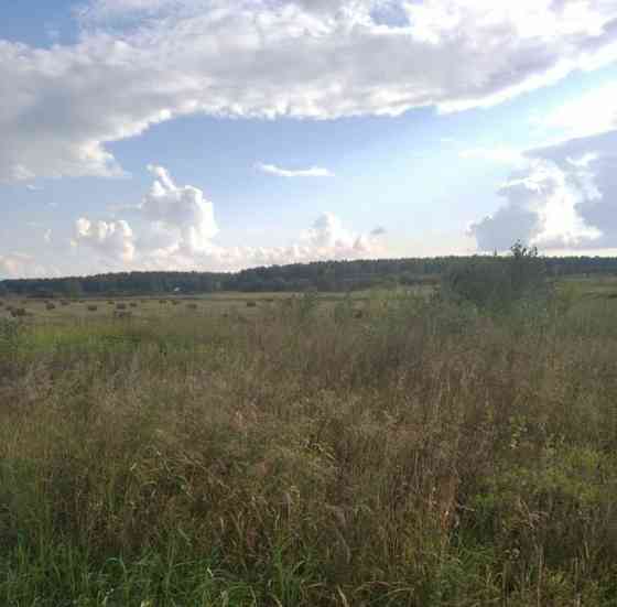 Земельный участок, 20.43 га Шушенское