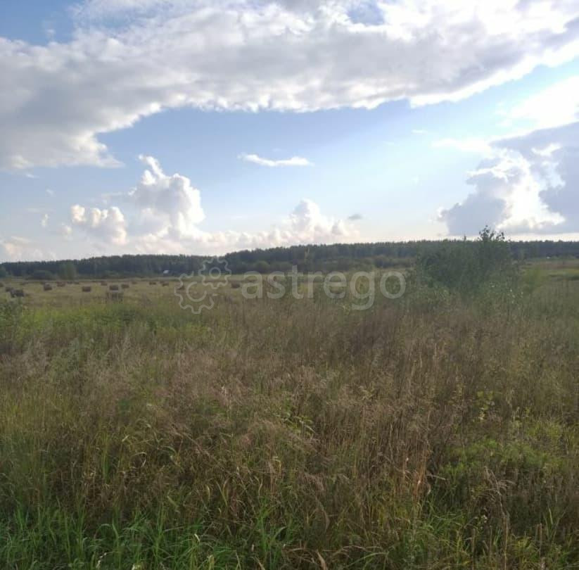 Земельный участок, 20.43 га Шушенское - изображение 1