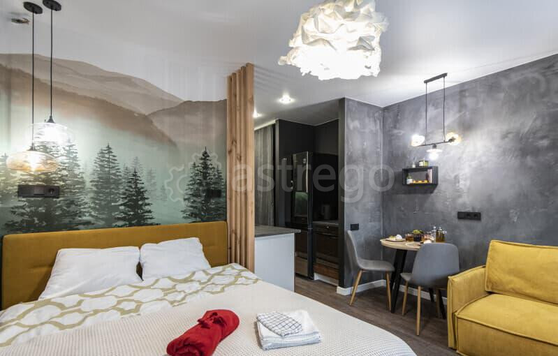 Студия, 25 м2, 9/17 эт. Королев - изображение 2