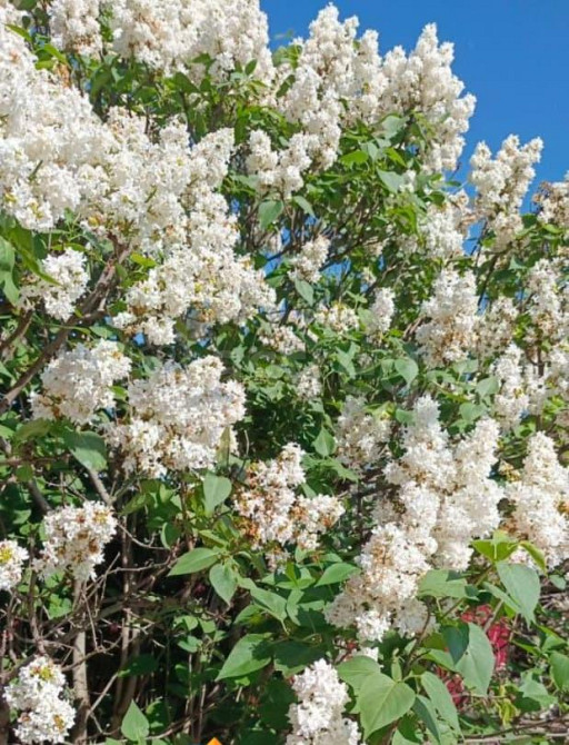 Дом, 148.8 м2, 7.3 сотки, 2 эт. Иглино - изображение 4