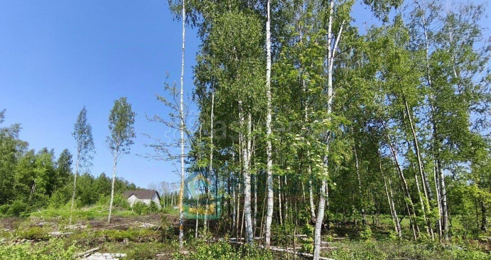 Земельный участок, 12 соток Санкт-Петербург - изображение 2