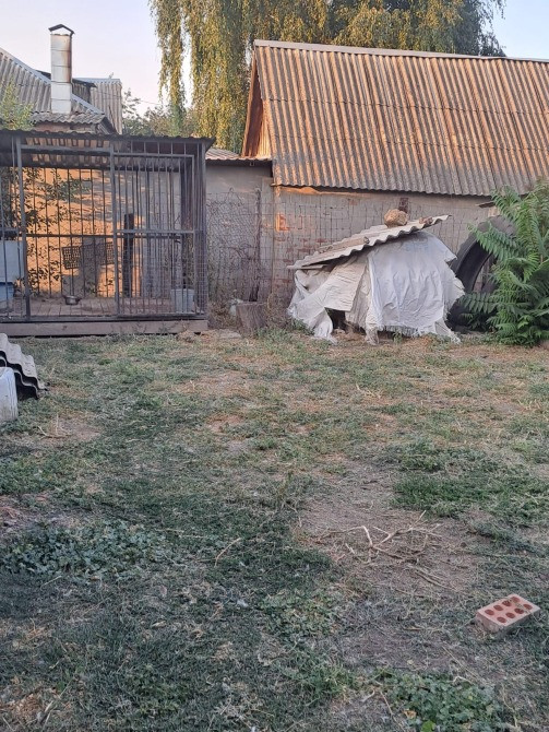 Продам дом, 44.9 м2, ИЖС Участок 12.3 сот. Ростов-на-Дону - изображение 9