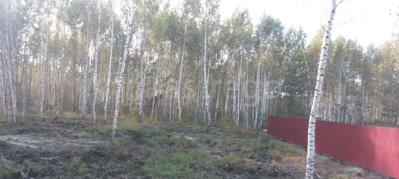 Земельный участок, 8.3 сотки Павловский Посад - изображение 4