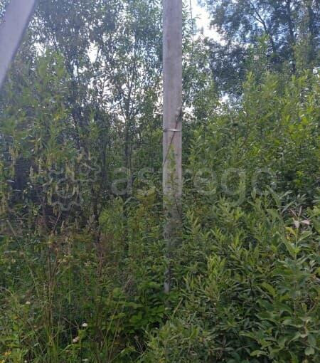 Земельный участок, 21 сотка Клин - изображение 1