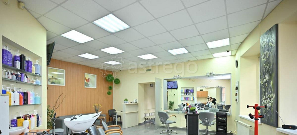 Готовый бизнес, 169 м2 Красноярск - изображение 4