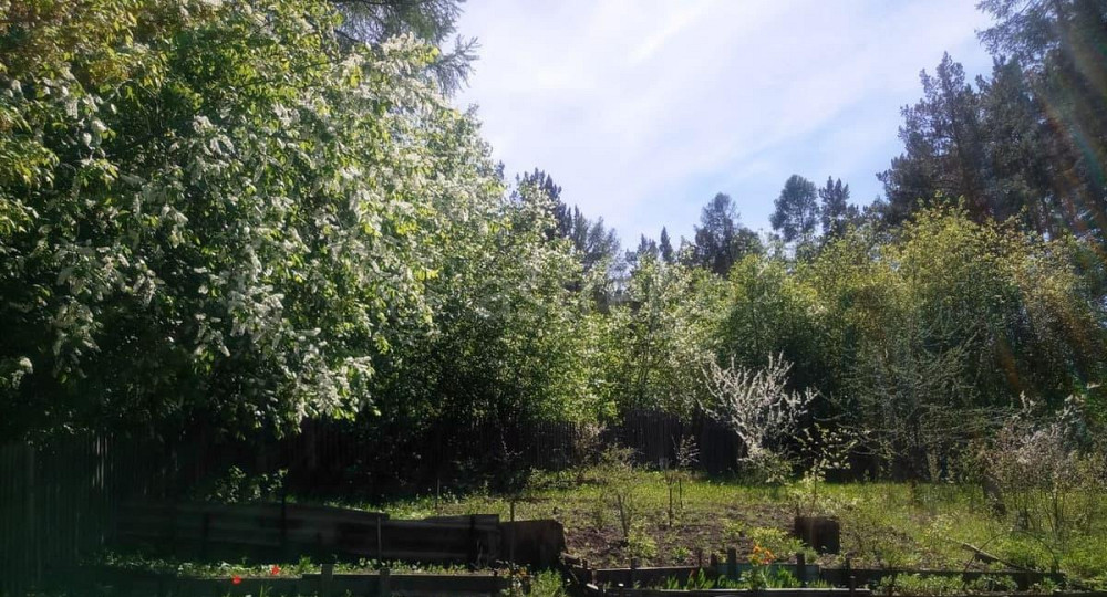 Земельный участок, 12 соток Красноярск - изображение 1