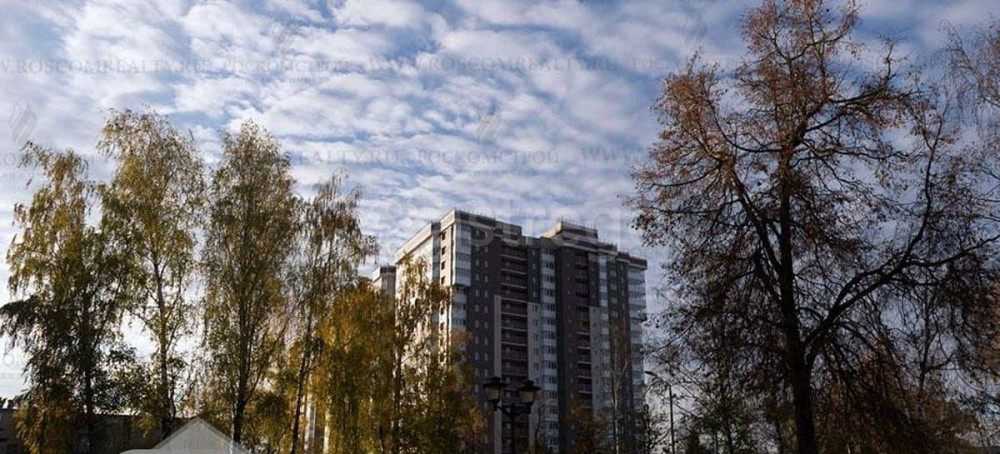 Студия, 28 м2, 4/17 эт. Старая Купавна - изображение 1