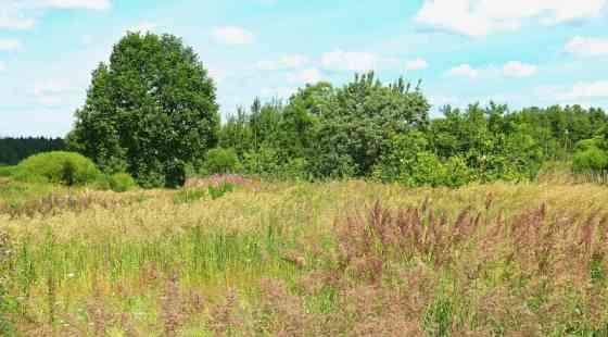 Земля под ИЖС, 13 соток Егорьевск