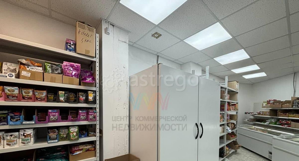 Торговое помещение, 357 м2 Уфа - изображение 6