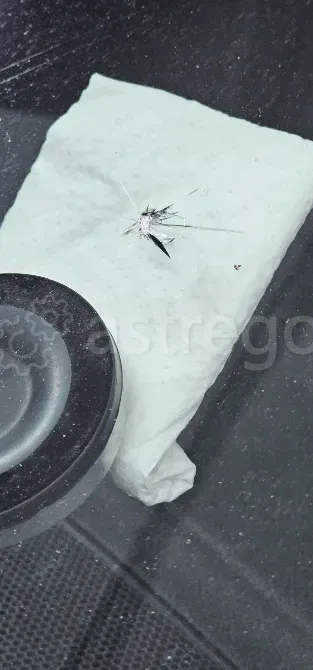 Ремонт сколов и трещин на Автостеклах Санкт-Петербург - изображение 6