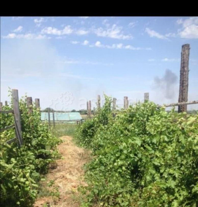 Земельный участок, 8.44 га Астрахань - изображение 5