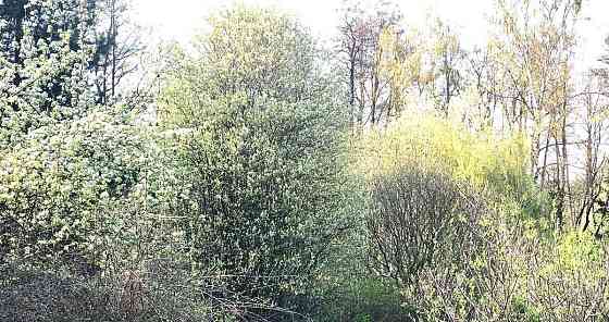 Дом, 120 м2, 10 соток, 3 эт. Пушкино