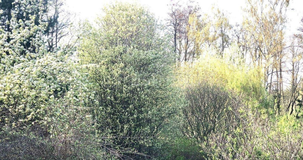 Дом, 120 м2, 10 соток, 3 эт. Пушкино - изображение 6