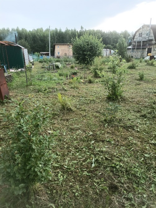 Участок, ИЖС, 11 сот. Новосибирск - изображение 8