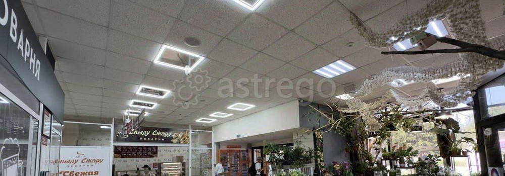 Торговое помещение, 2843 м2 Барнаул - изображение 2