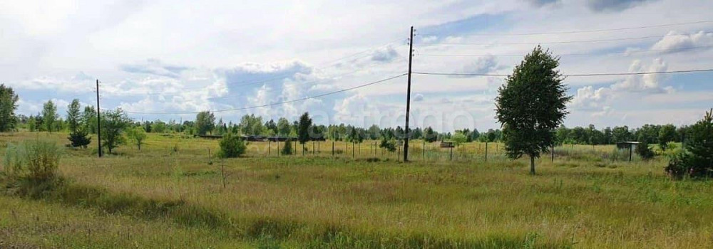 Земельный участок, 10 соток Березовка - изображение 3