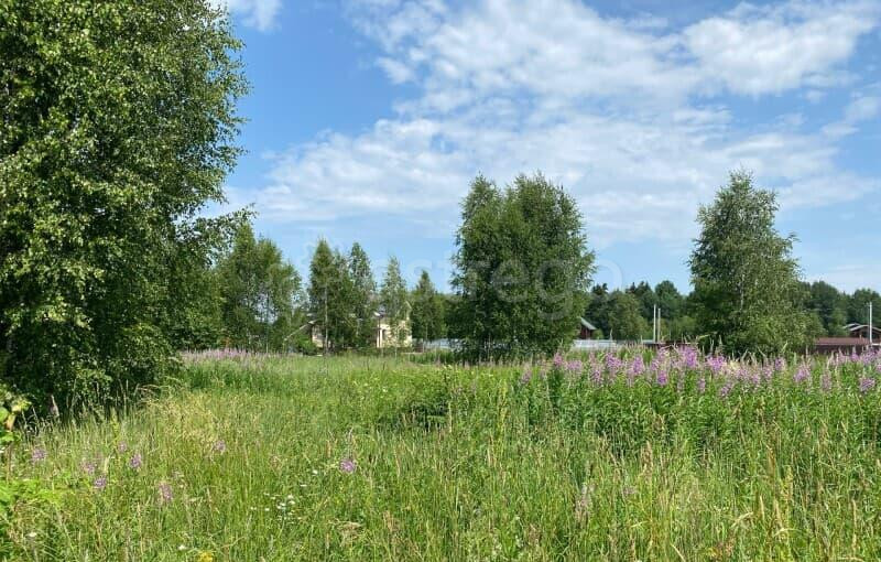 Земельный участок, 12 соток Можайск - изображение 3